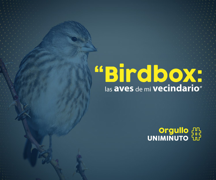 Mini-beca para el cuidado de las aves