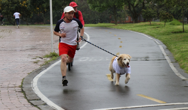 Colaboradores participaron de la Maratón UNIMINUTO 3K.