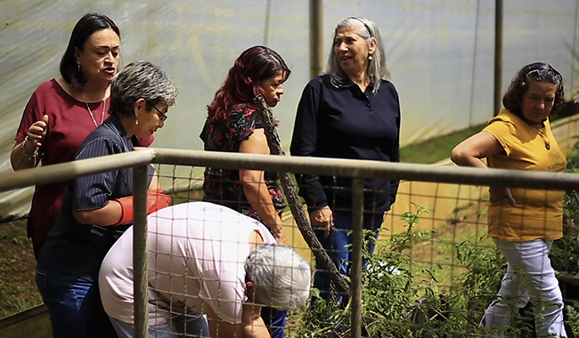 Mujeres de la red de familias UNIMINUTO en la huerta