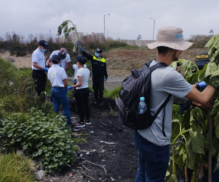 Jornada de recolección de basuras con niños del colegio ciudad verde UMD