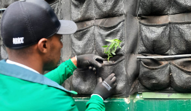 Estudiante construyendo Jardín vertical