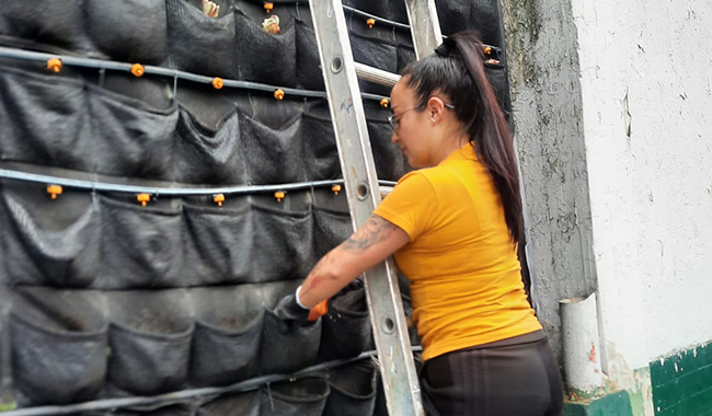 Estudiante construyendo Jardín vertical