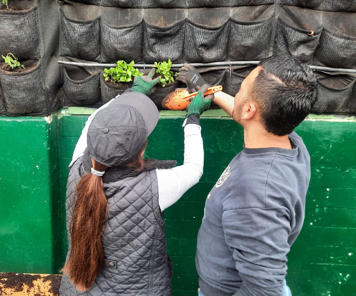 Estudiante construyendo Jardín vertical