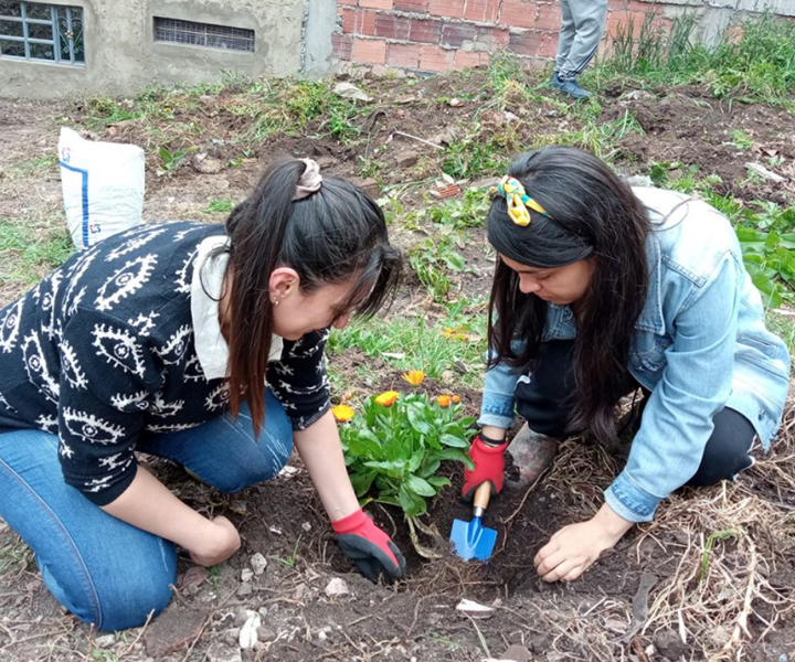 Trabajo comunitario y apoyo de los estudiantes