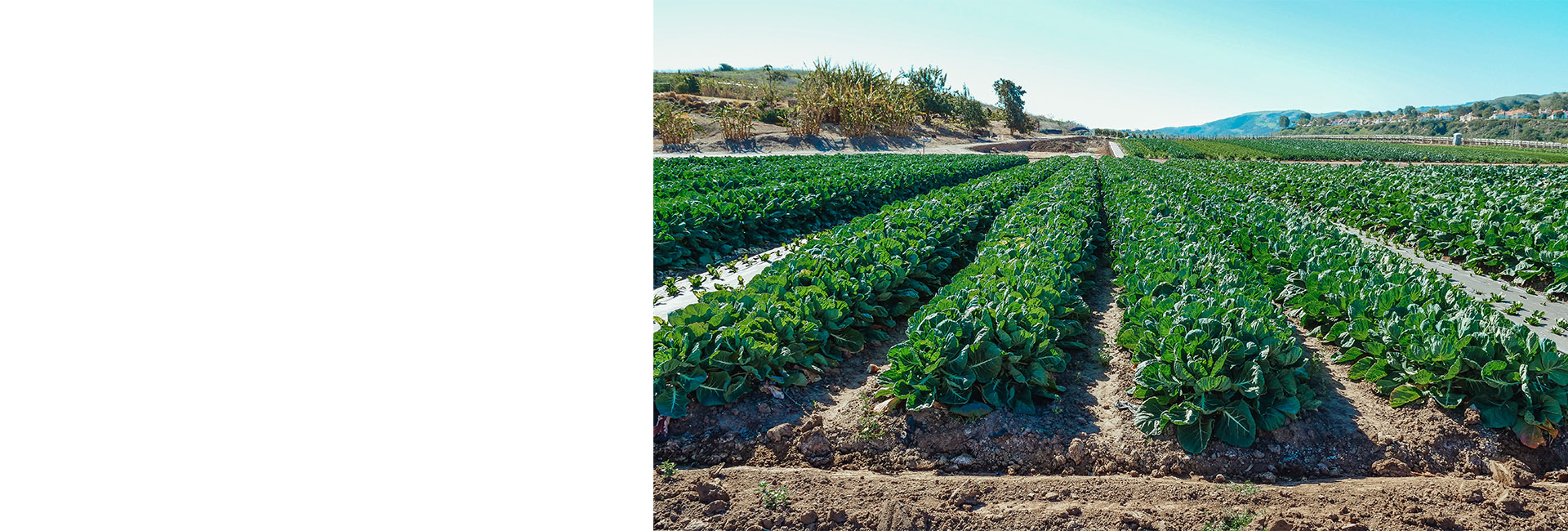 Agroecología