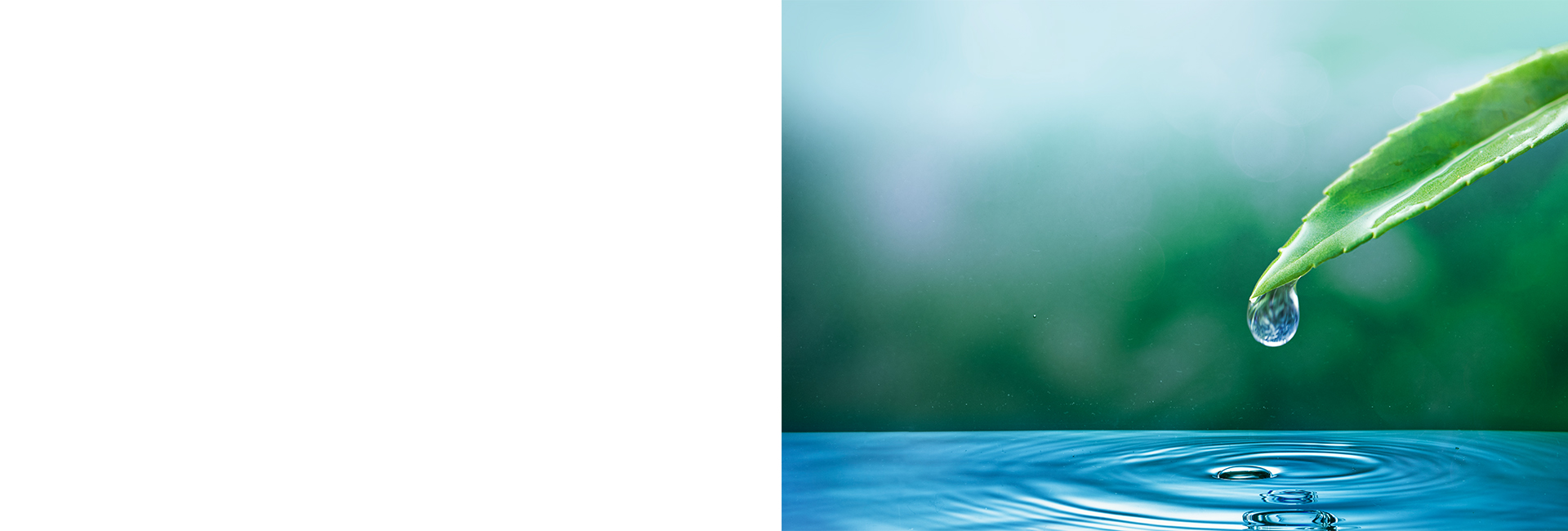 LABSAG SIMDEF - Gerencia Financiera LABSAG SIMDEF - Gerencia Financiera