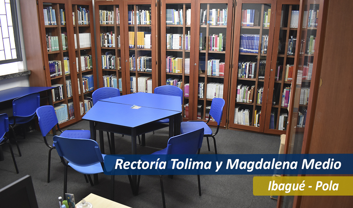 Bibliotecaibague