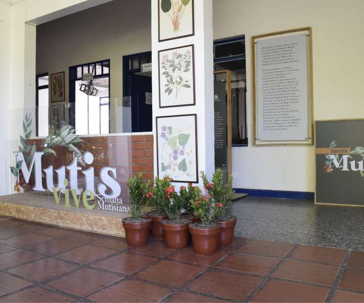 Mutis-Exposición-Ibagué