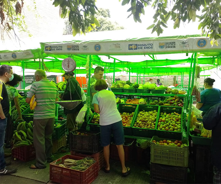 miembro-de-coomerlibre-en-mercado-libre-de-cucuta_1.jpg 