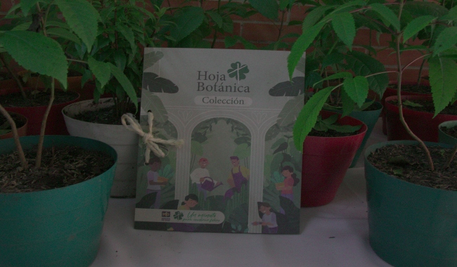 Hoja Botánica