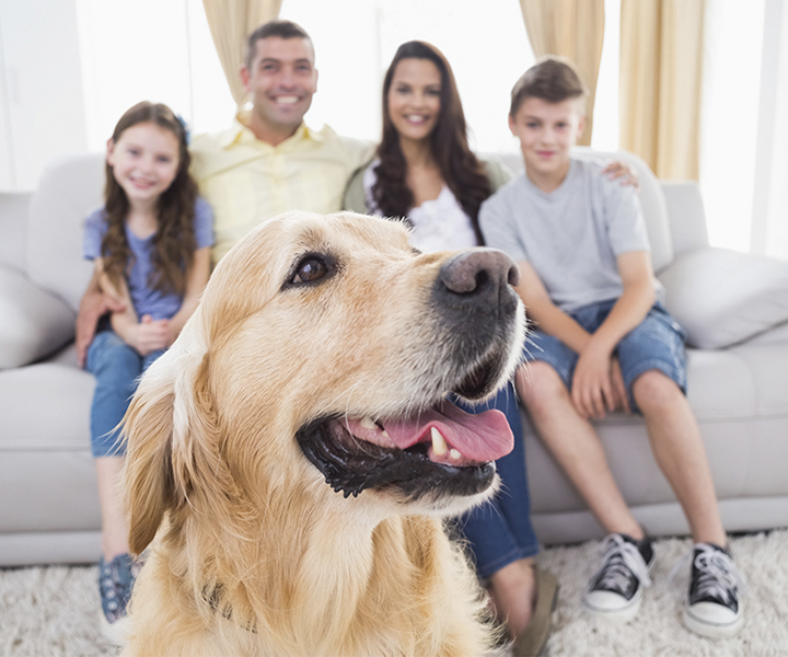 Perri reunido con la familia