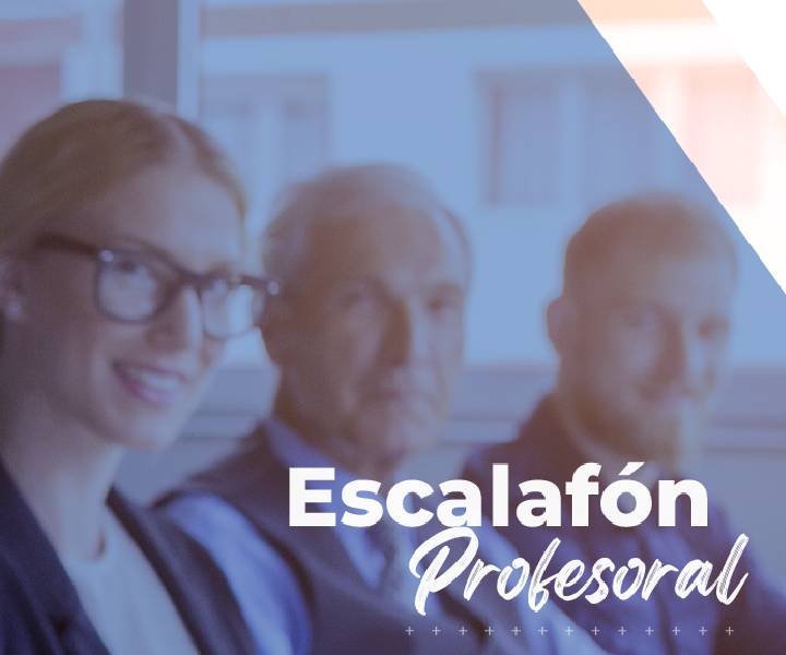 escalafón profesoral