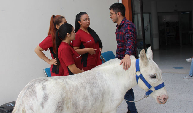 Estudiantes y Coordinador del programa de Psicología junto a Quirón, durante su visita al Hospital Universitario San Jorge en Pereira