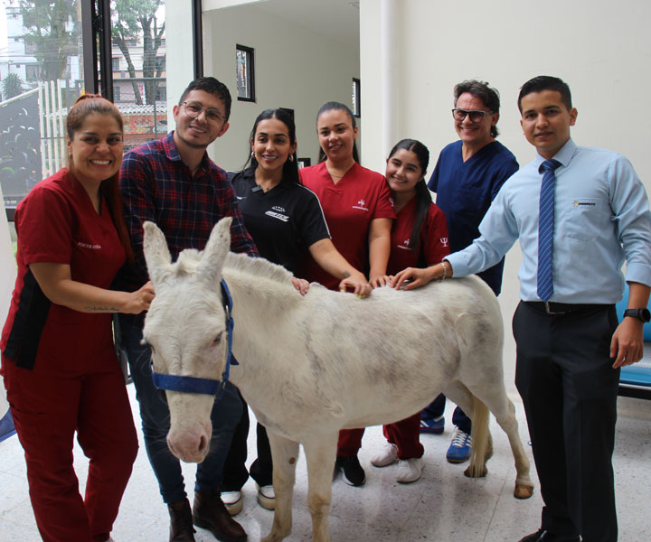 Quirón en compañía de los estudiantes y Coordinador del programa de Psicología del Centro Universitario Pereira y personal médico del Hospital Universitario de Pereira.