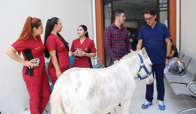 Personal médico, estudiantes y Coordinador del programa de Psicología junto a Quirón, durante su visita al Hospital Universitario San Jorge en Pereira