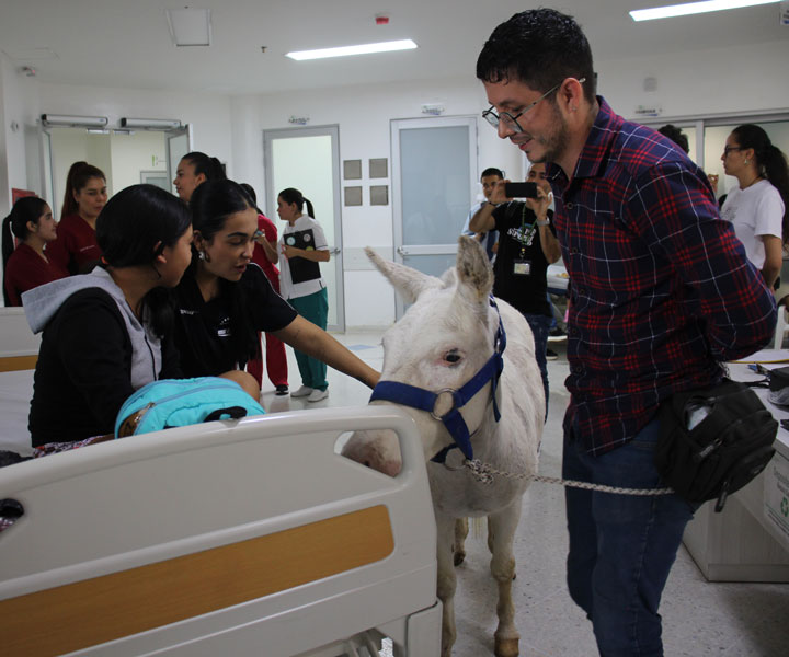 Quirón recorriendo los pasillos del Hospital Universitario San Jorge en Pereira