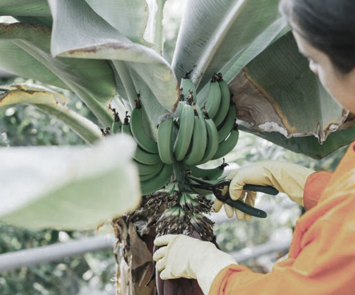 Algunas mujeres desplazadas enfrentan bullying de compañeros que las ven como intrusas