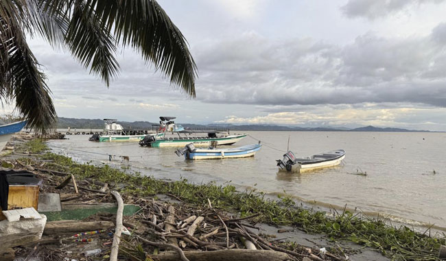 Lanchas a la espera de turistas 