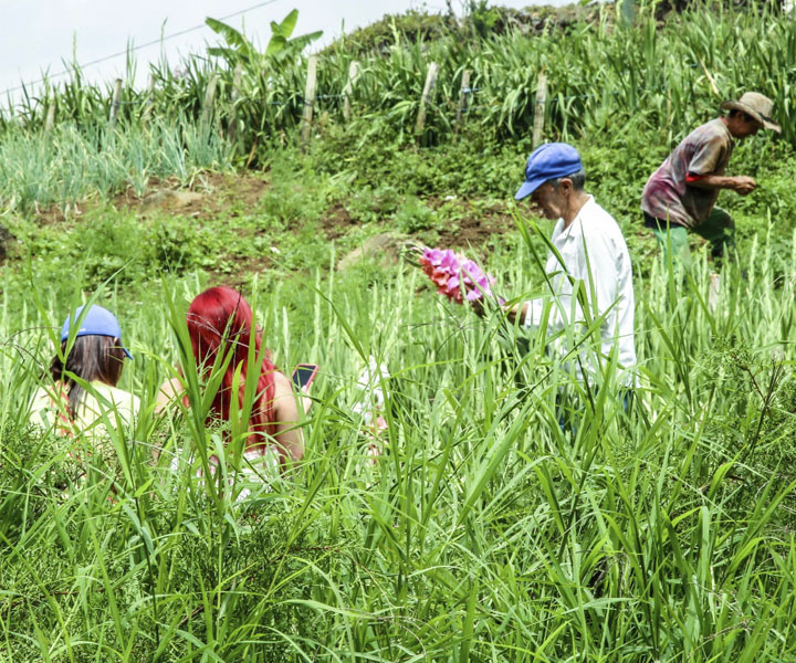Investigación víctimas del conflicto en Sonsón 