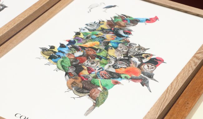 En la foto: Ilustración del emprendimiento Bioilustrarte