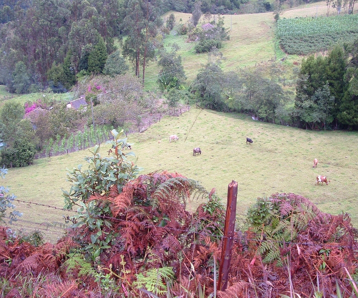 Arcabuco-Colombia ©Jaime Bernal-Hadad