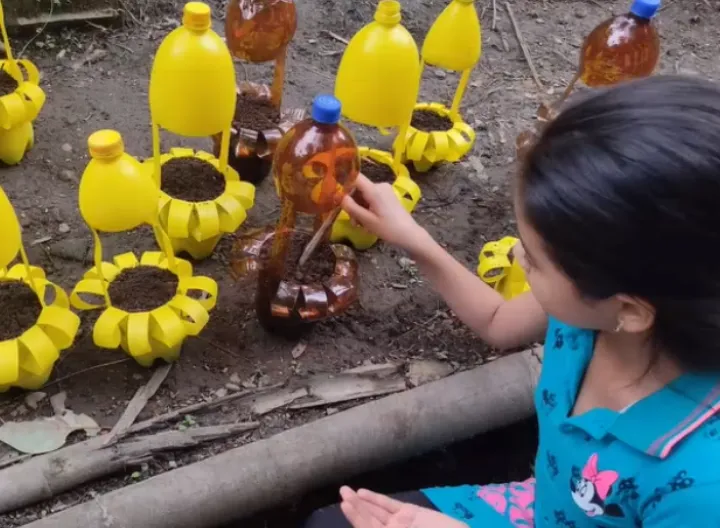 Niña con semillas en la mano, trabaja en el huerto que se compone de macetas realizadas con botellas plásticas.