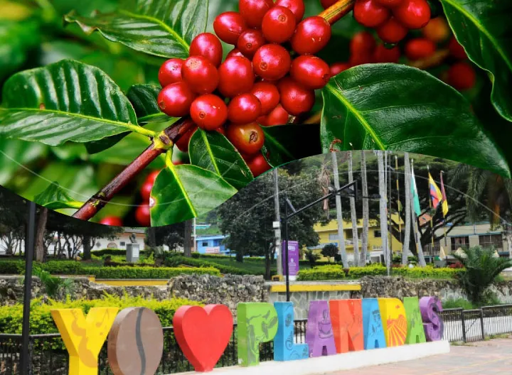 Planadas libre de Glifosato