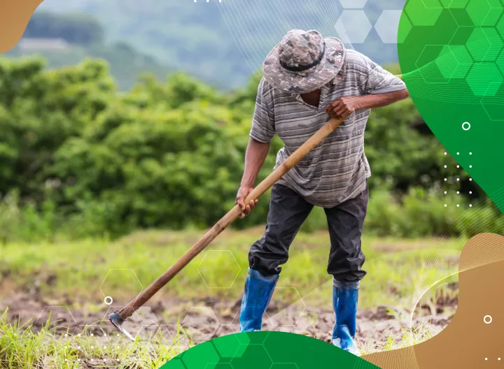 El campo necesita fortalecer sus emprendimientos