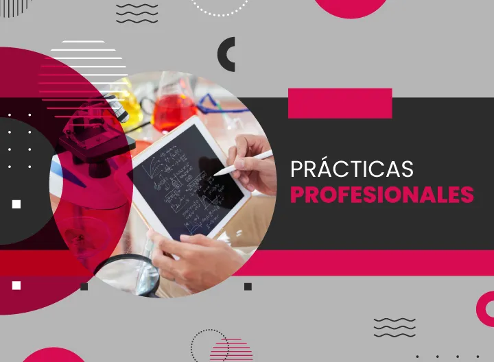 Práctica Educativa y Pedagógica -LCNE