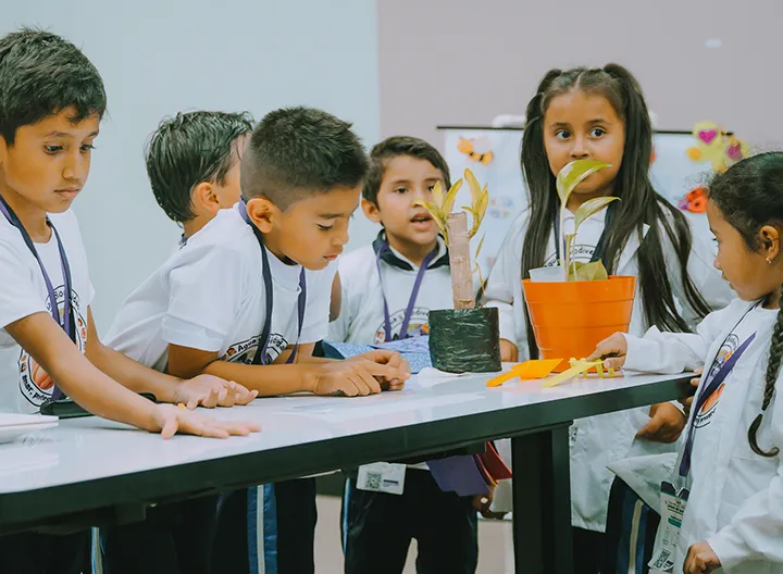 Innovación educativa para la primera infancia desde el enfoque STEM  