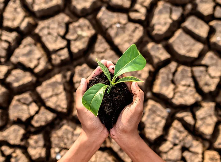 Avanza 100K CLIMA, un proyecto para proponer soluciones al cambio climático  