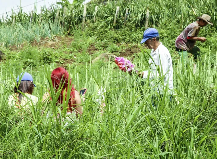 Investigación víctimas del conflicto en Sonsón 