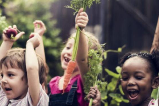 Niños con cosecha