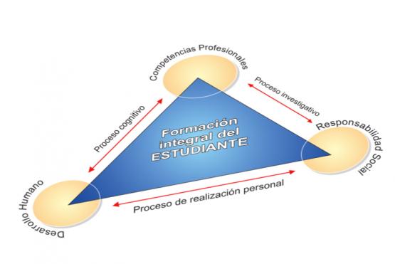 Infografía modelo educativo