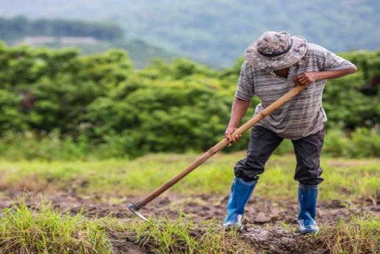 Hacia una producción agrícola más amigable con los campesinos