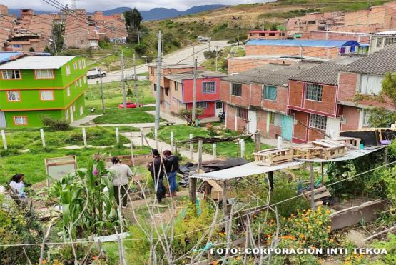 Las pequeñas acciones transforman el mundo