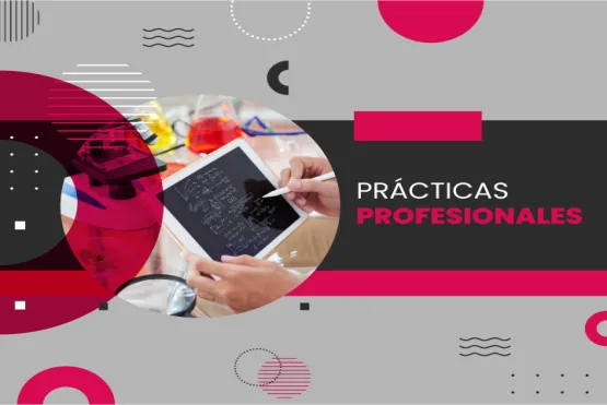 Práctica Educativa y Pedagógica -LCNE