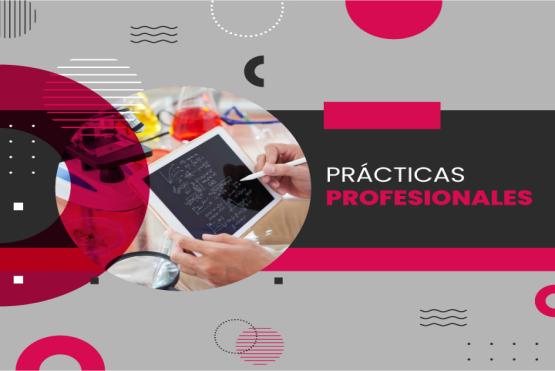 Práctica Educativa y Pedagógica -LCNE