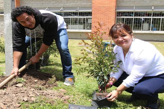 Colaboradores viven una jornada de siembra en los centros regionales