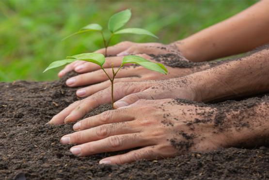 Jornada ambiental en Altos de Cazucá