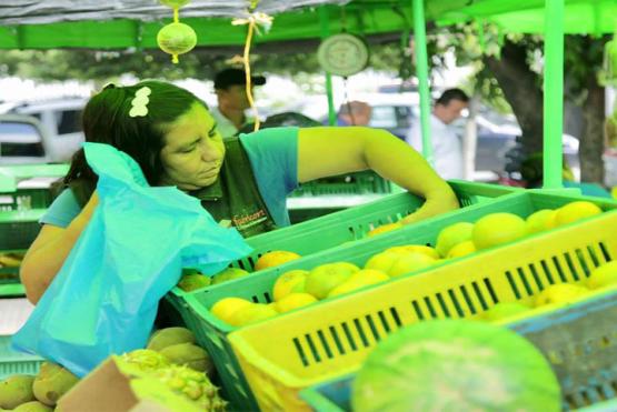 miembro-de-coomerlibre-en-mercado-libre-de-cucuta.jpg