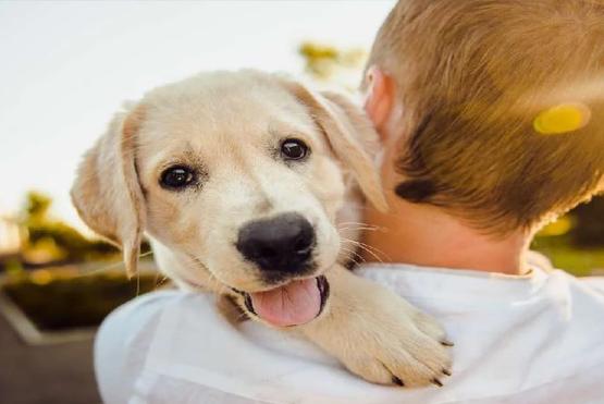 Niño abrazando un perro