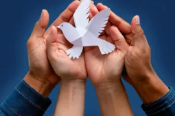 Banner-maestria-paz-y-gestion